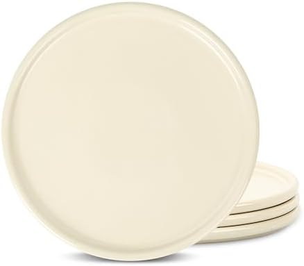Stoneware 4-Piece Dinner Plate Set
