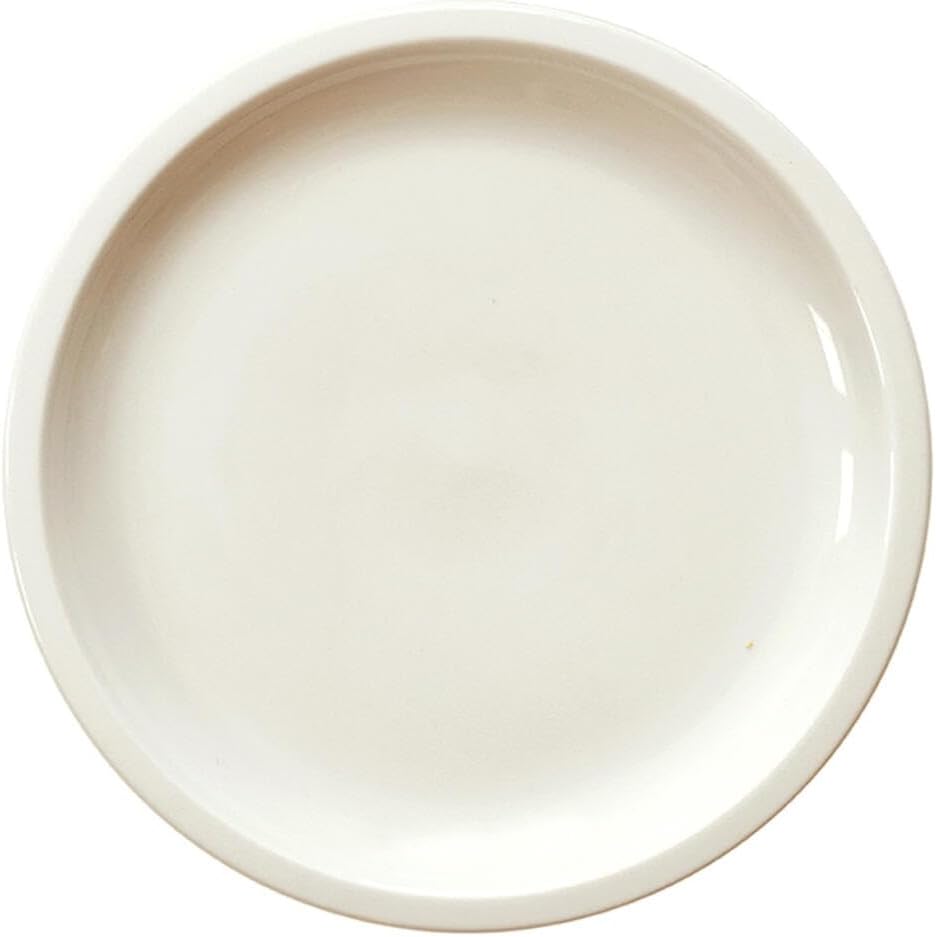 Cantine Dinner Plate White 94