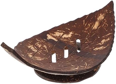 Shell Soap Dish