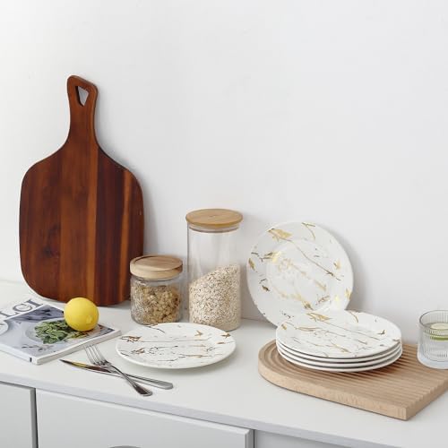 Loymokinar 10-Inch Ceramic Plates Set of 6