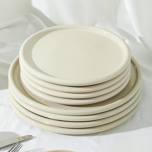 Stoneware 4-Piece Dinner Plate Set