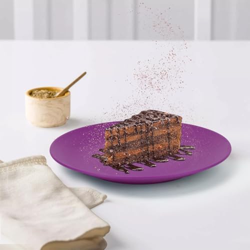 Wrova 10 Inch Wheat Straw Plates Set of 8 Unbreakable