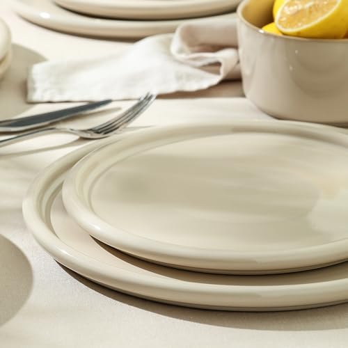 Stoneware 4-Piece Dinner Plate Set