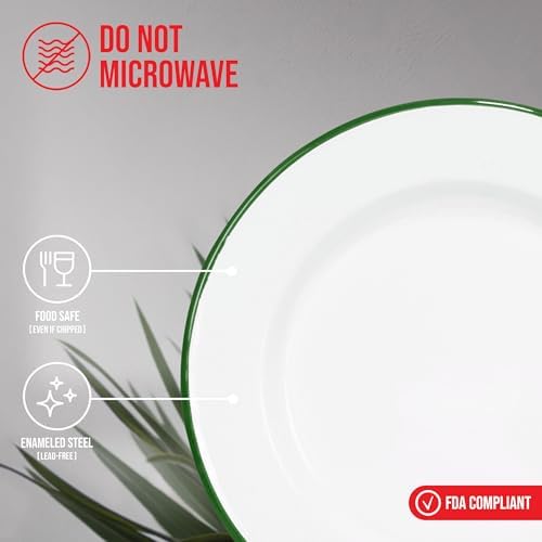 Bring Home a Set of 4 Rustic Metal Dinner Plates for Family Get-together