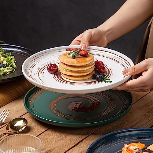 Colorful 101-inch Dinner Plates Set of 4 Classic Design