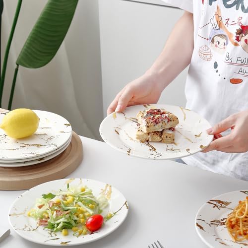 Loymokinar 10-Inch Ceramic Plates Set of 6