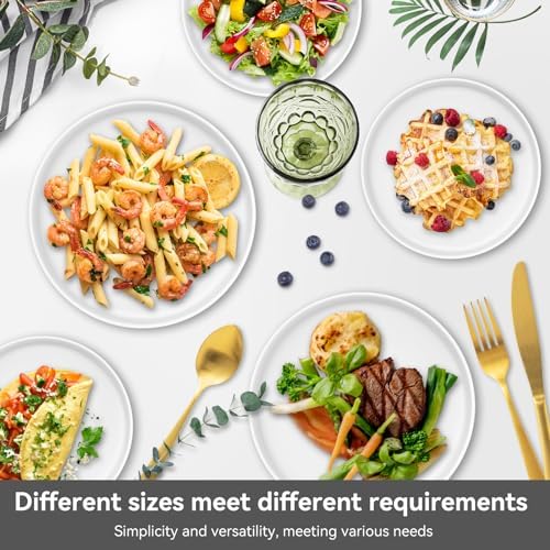 Sanyannis 8-Inch Matte Ceramic Dinner Plate Set for Kitchen Use