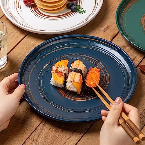 Colorful 101-inch Dinner Plates Set of 4 Classic Design