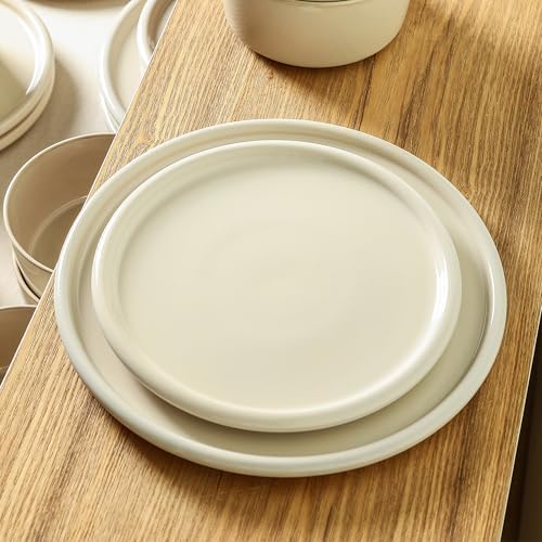 Stoneware 4-Piece Dinner Plate Set