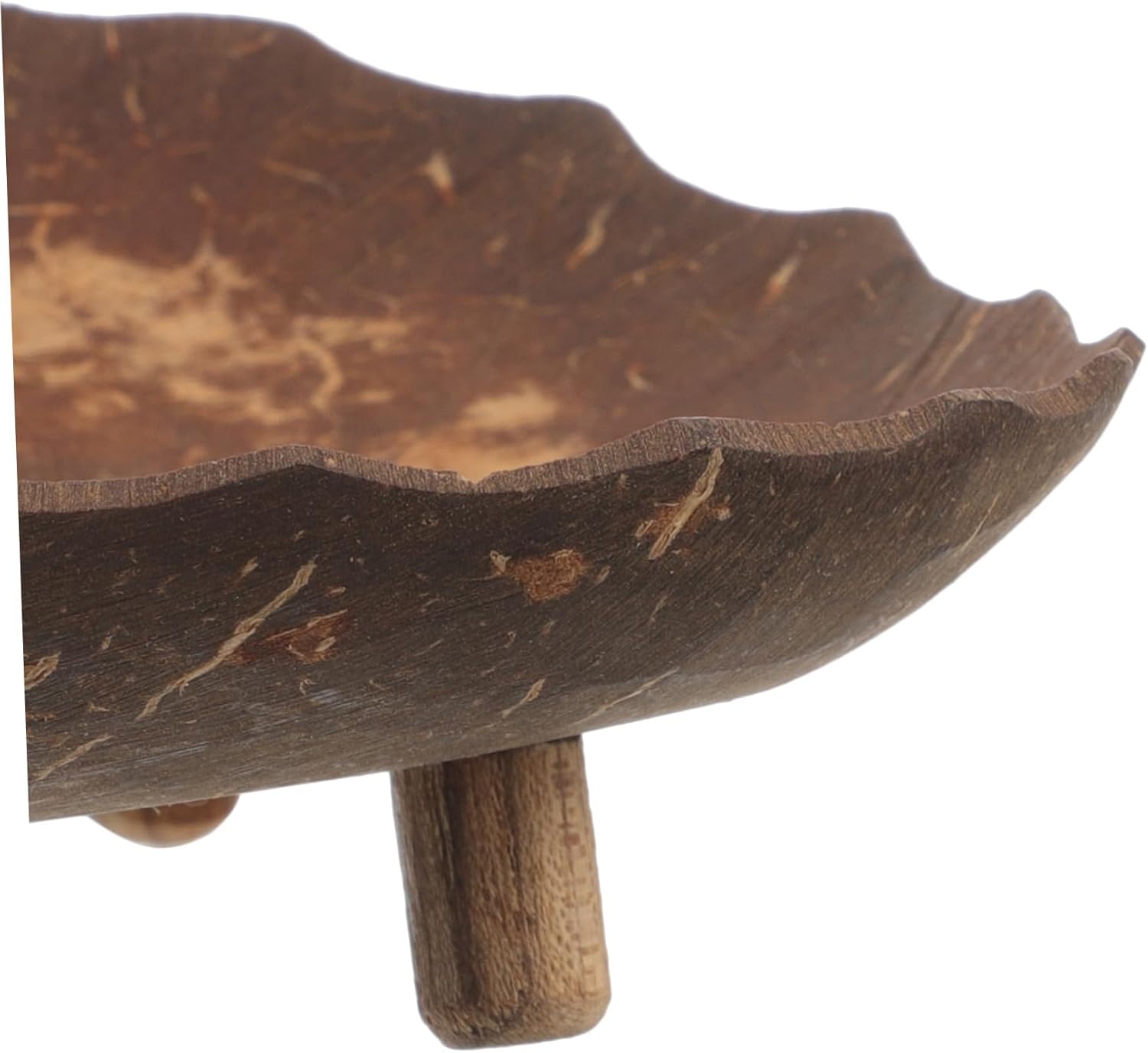 Healifty Coconut Shell Soap Dish Holder for Bathroom and Kitchen