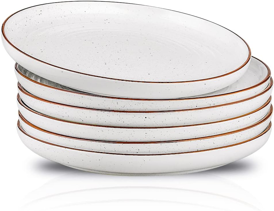 HVH Farmhouse Style Dinner Plates Set of 6 1025-Inch Ceramic Dinnerware for Home Kitchen or Gifting