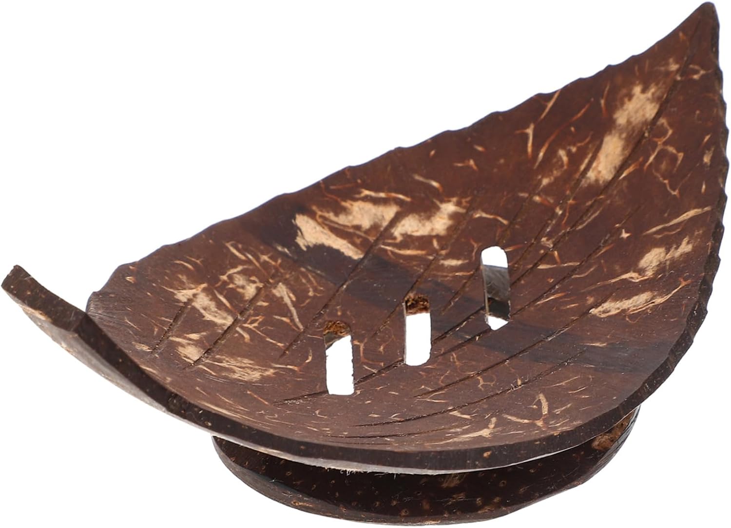 Shell Soap Dish