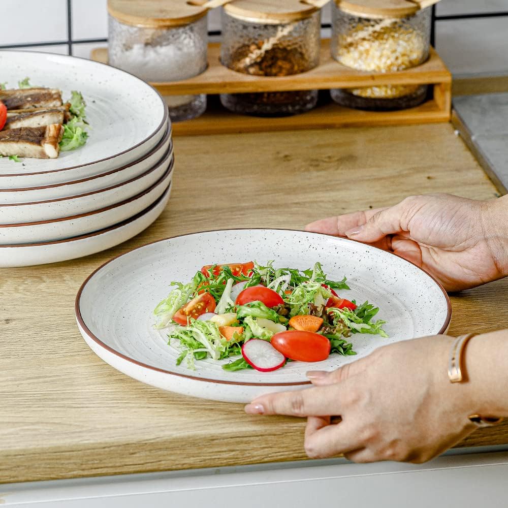 HVH Farmhouse Style Dinner Plates Set of 6 1025-Inch Ceramic Dinnerware for Home Kitchen or Gifting