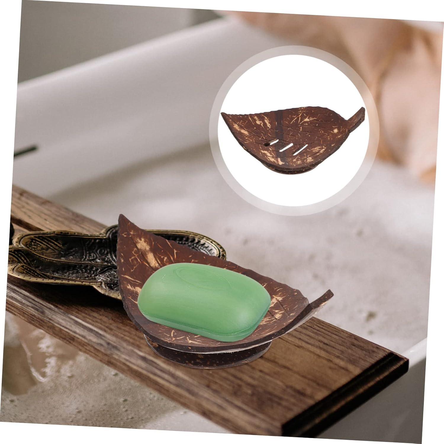 Shell Soap Dish
