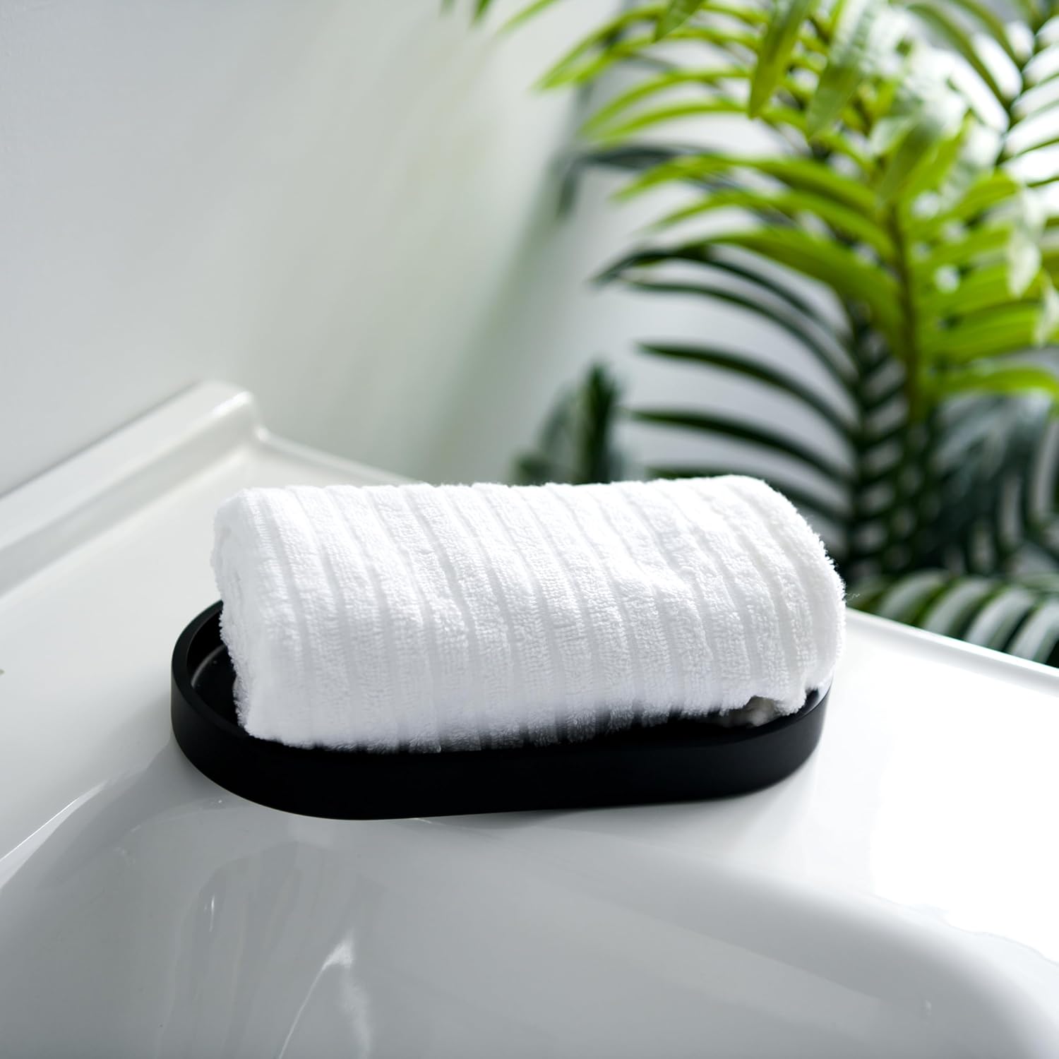 Elegant Resin Vanity Tray