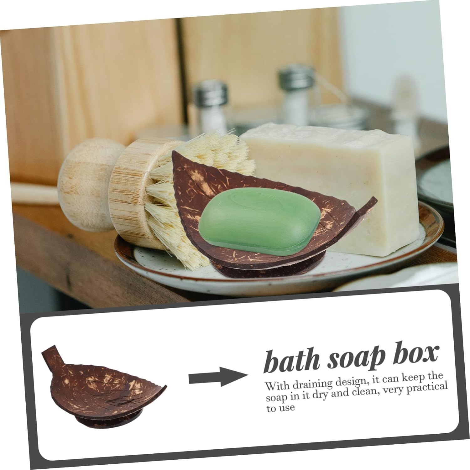 Shell Soap Dish
