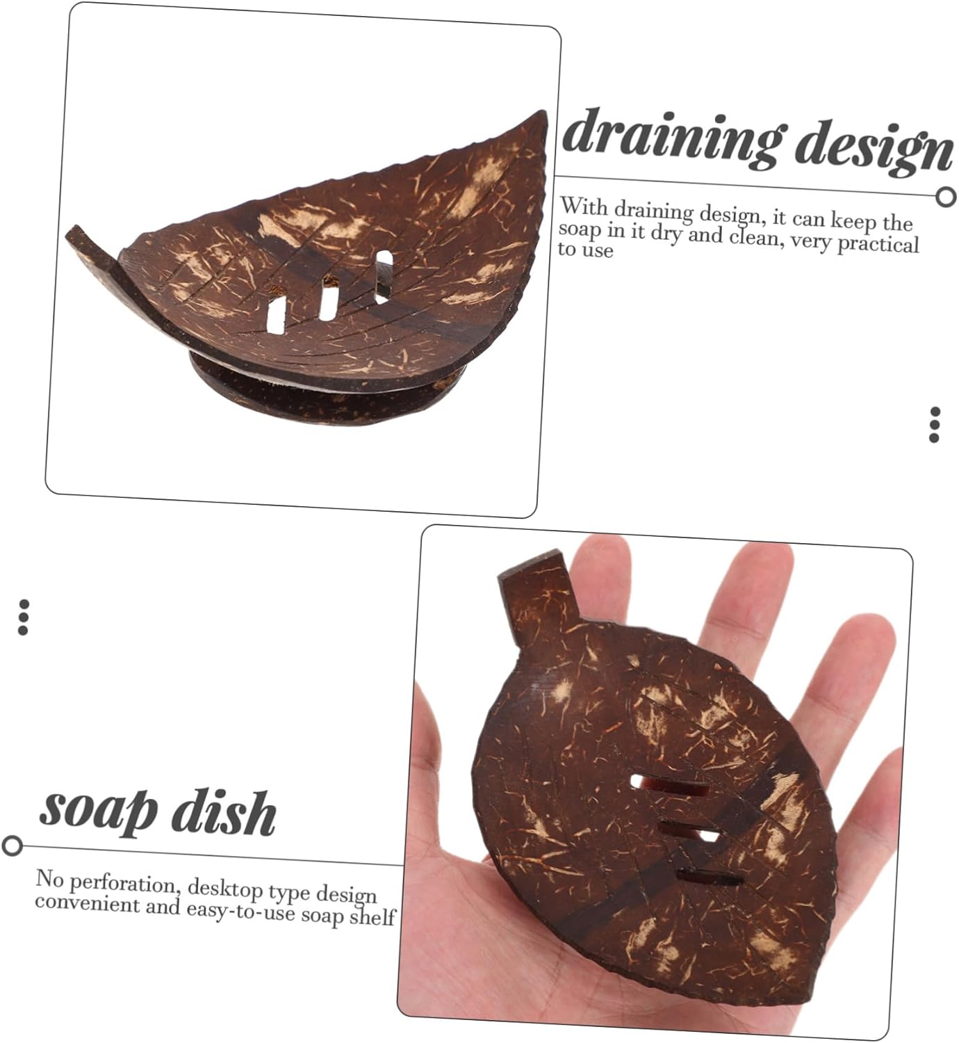 Shell Soap Dish