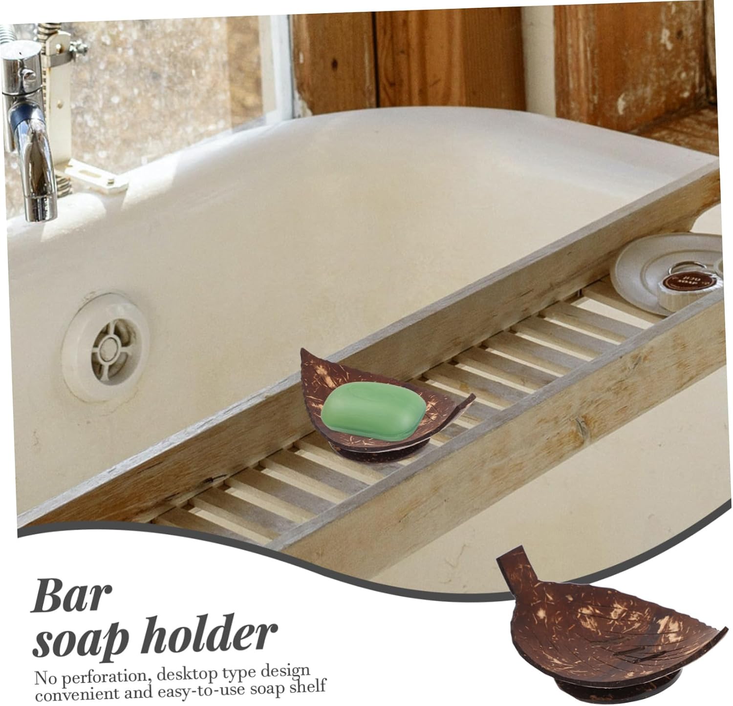 Shell Soap Dish